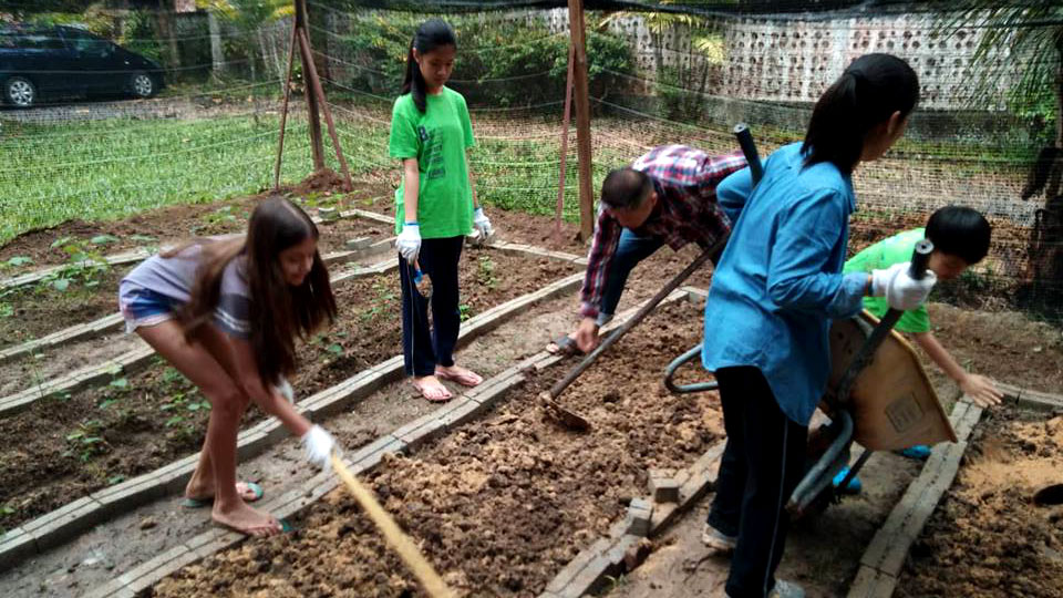 organic farm, Civitas, The Play Project Mahavidya